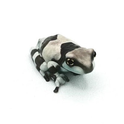 Baby Amazon Milk Frog